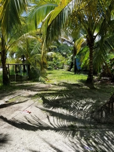 Bed and Breakfast on Beach, Bocas del Toro Panama - image 36