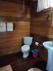Bed and Breakfast on Beach, Bocas del Toro Panama - image 18