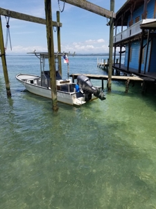 Bed and Breakfast on Beach, Bocas del Toro Panama - image 38