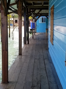 Bed and Breakfast on Beach, Bocas del Toro Panama - image 11