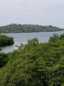 180 degree views from hilltop home, Bocas del Toro Panama - image 43