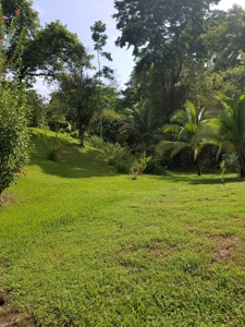 180 degree views from hilltop home, Bocas del Toro Panama - image 36