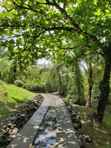180 degree views from hilltop home, Bocas del Toro Panama - image 6