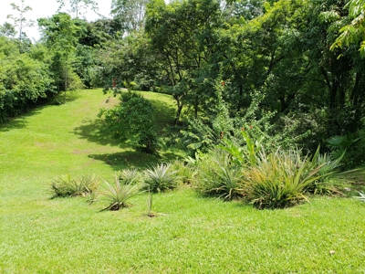 180 degree views from hilltop home, Bocas del Toro Panama - image 8