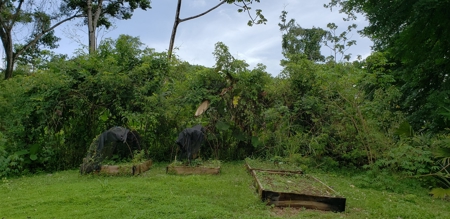 180 degree views from hilltop home, Bocas del Toro Panama - image 21