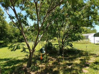 Country living with you own oil production - image 7
