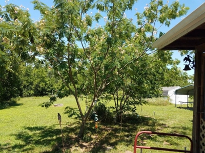 Country living with you own oil production - image 18