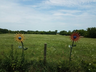 Country living with you own oil production - image 4