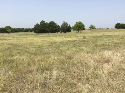 Active Option-Development Property In Terrell, Tx For Sale - image 2