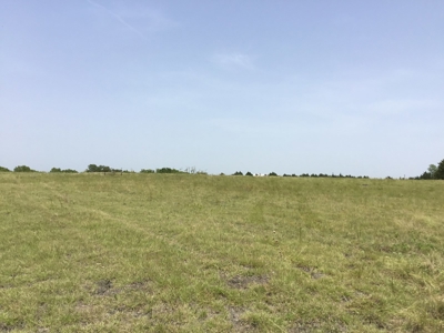 Active Option-Development Property In Terrell, Tx For Sale - image 5