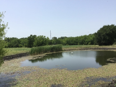 Active Option-Development Property In Terrell, Tx For Sale - image 4