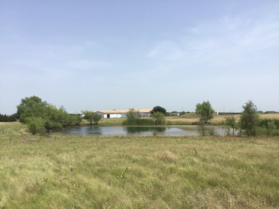 Active Option-Development Property In Terrell, Tx For Sale - image 6