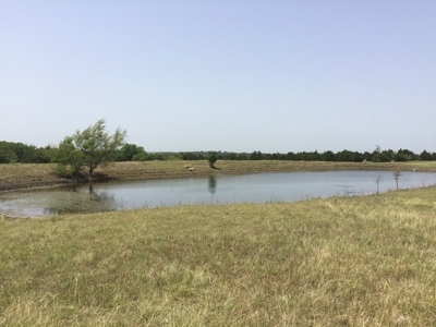 Active Option-Development Property In Terrell, Tx For Sale - image 3