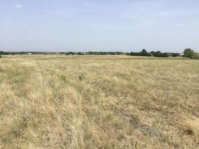 Active Option-Development Property In Terrell, Tx For Sale - image 1