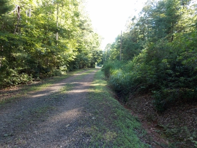 Wooded Lot with Camper Near Philpott Lake in Ferrum VA - image 22
