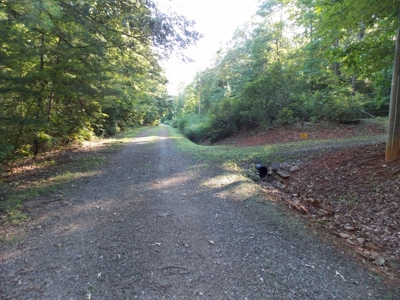 Wooded Lot with Camper Near Philpott Lake in Ferrum VA - image 16