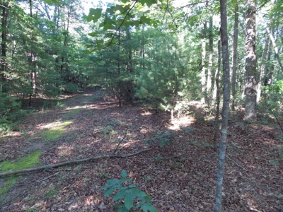 Wooded Lot with Camper Near Philpott Lake in Ferrum VA - image 19