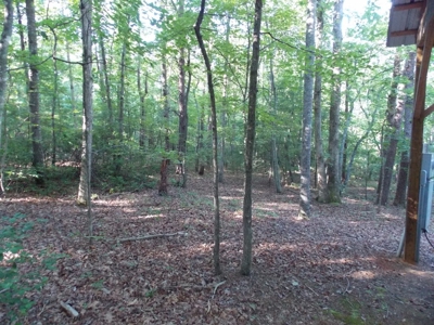 Wooded Lot with Camper Near Philpott Lake in Ferrum VA - image 8