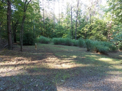 Wooded Lot with Camper Near Philpott Lake in Ferrum VA - image 14