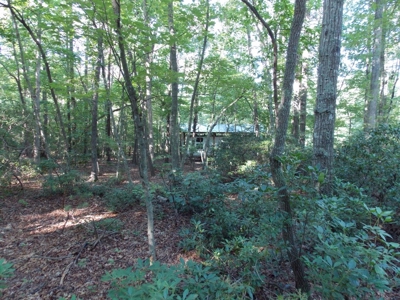 Wooded Lot with Camper Near Philpott Lake in Ferrum VA - image 18