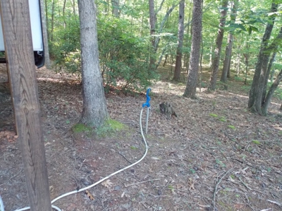 Wooded Lot with Camper Near Philpott Lake in Ferrum VA - image 26