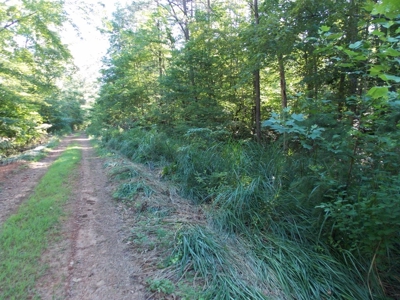 Wooded Lot with Camper Near Philpott Lake in Ferrum VA - image 20