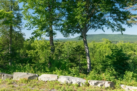 Off-Grid Log Home For Sale | Elm Stream, Maine - image 17