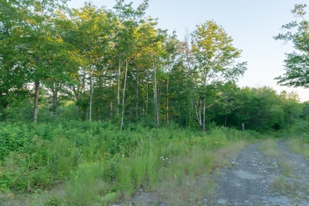 Off-Grid Log Home For Sale | Elm Stream, Maine - image 9