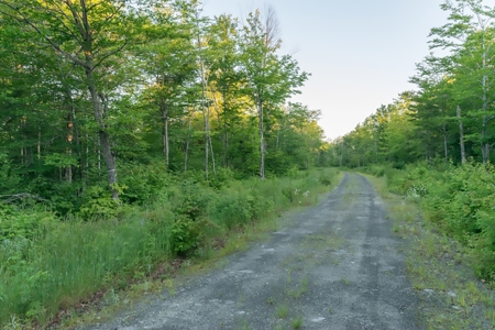Off-Grid Log Home For Sale | Elm Stream, Maine - image 10