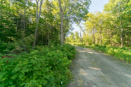 Off-Grid Log Home For Sale | Elm Stream, Maine - image 19