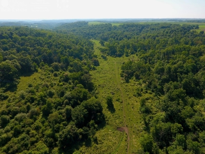 Spectacular Hunting & Farmland in Southwest Wisconsin - image 35