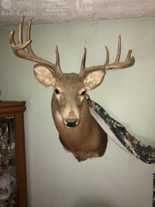 Spectacular Hunting & Farmland in Southwest Wisconsin - image 5