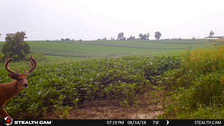 Spectacular Hunting & Farmland in Southwest Wisconsin - image 40