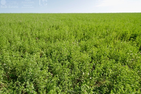 Spectacular Hunting & Farmland in Southwest Wisconsin - image 22