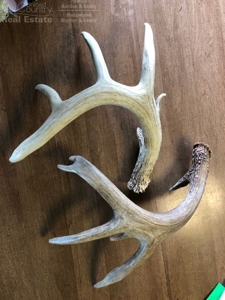 Spectacular Hunting & Farmland in Southwest Wisconsin - image 7