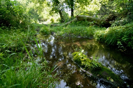 Spectacular Hunting & Farmland in Southwest Wisconsin - image 24