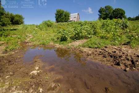 Spectacular Hunting & Farmland in Southwest Wisconsin - image 25