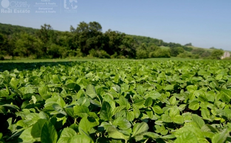 Spectacular Hunting & Farmland in Southwest Wisconsin - image 17