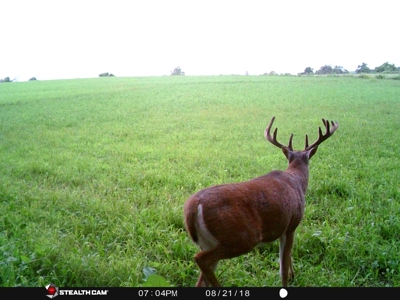 Spectacular Hunting & Farmland in Southwest Wisconsin - image 42