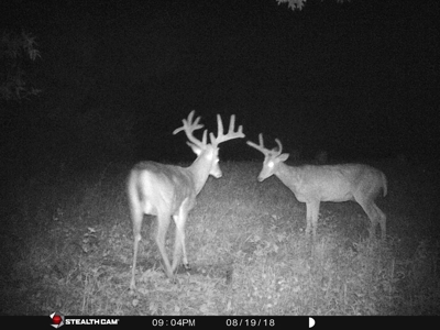 Spectacular Hunting & Farmland in Southwest Wisconsin - image 43