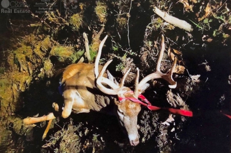 Spectacular Hunting & Farmland in Southwest Wisconsin - image 6