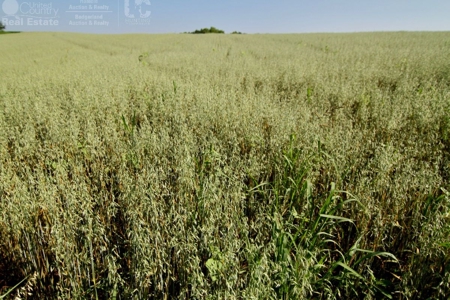 Spectacular Hunting & Farmland in Southwest Wisconsin - image 20