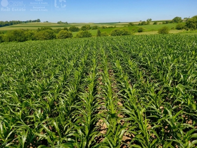 Spectacular Hunting & Farmland in Southwest Wisconsin - image 16