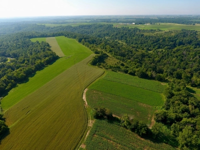 Spectacular Hunting & Farmland in Southwest Wisconsin - image 12