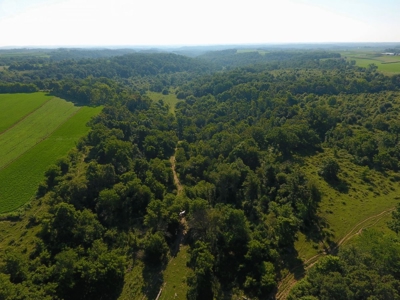 Spectacular Hunting & Farmland in Southwest Wisconsin - image 11