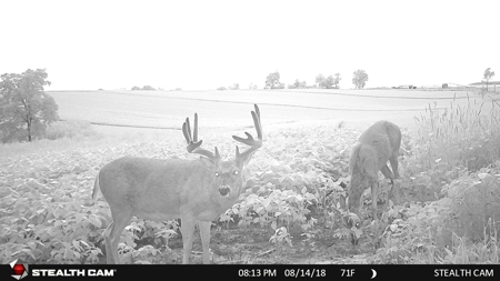 Spectacular Hunting & Farmland in Southwest Wisconsin - image 41
