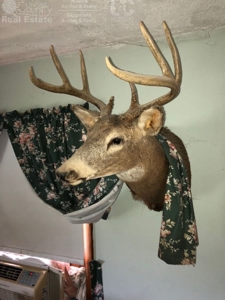Spectacular Hunting & Farmland in Southwest Wisconsin - image 4