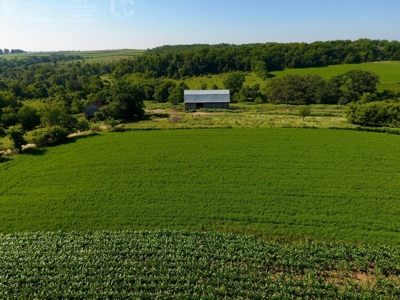 Spectacular Hunting & Farmland in Southwest Wisconsin - image 3