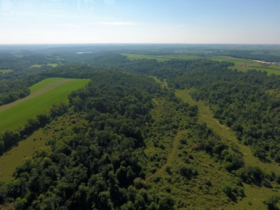 Spectacular Hunting & Farmland in Southwest Wisconsin - image 2