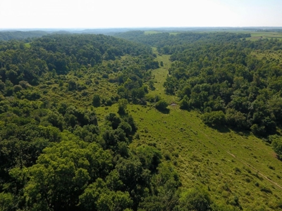 Spectacular Hunting & Farmland in Southwest Wisconsin - image 28